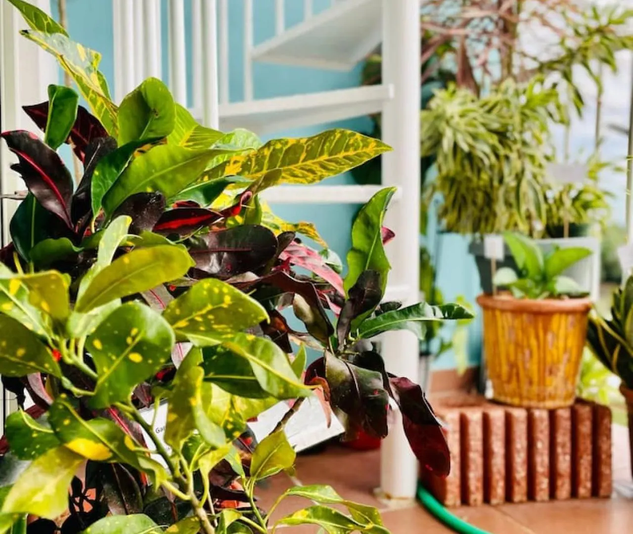 Pothos Beach Ph 3Br Apt W Rooftop W Pool Access Isabela